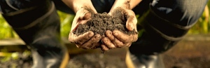 Good Dirt in Ukraine